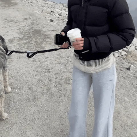 Running Dog Leash