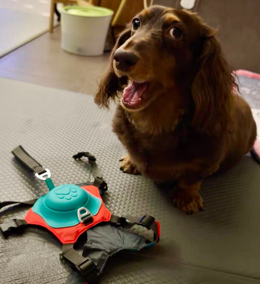 2-in-1 Dog Harness with Leash - Mixed Color