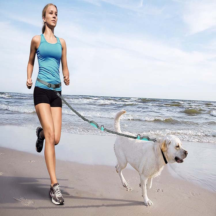 Running Dog Leash
