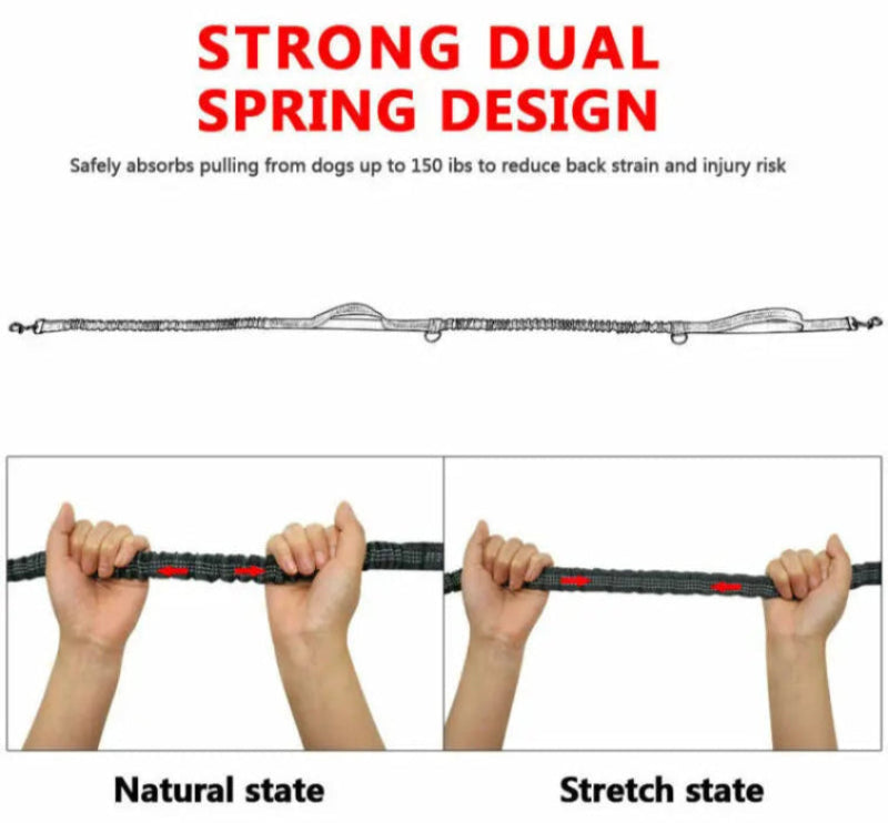 Running Dog Leash