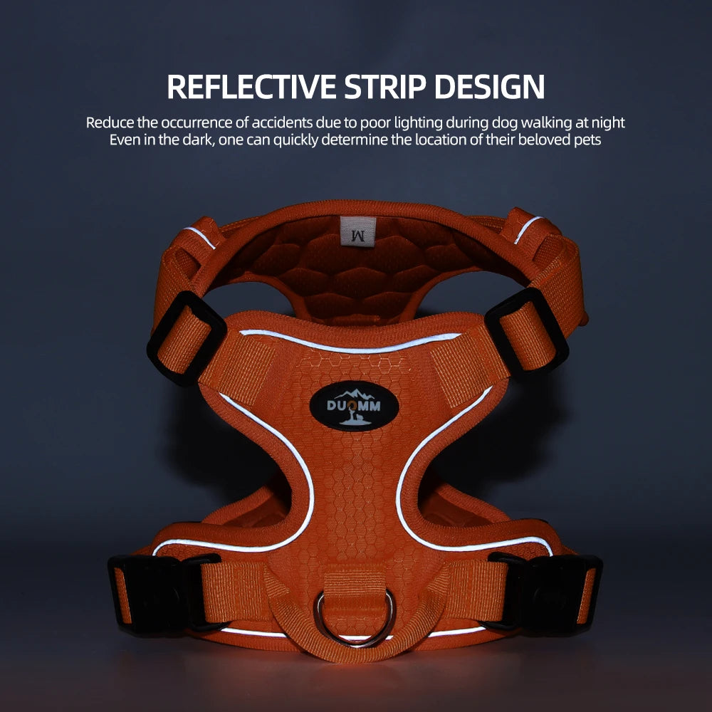Running Harness - Orange