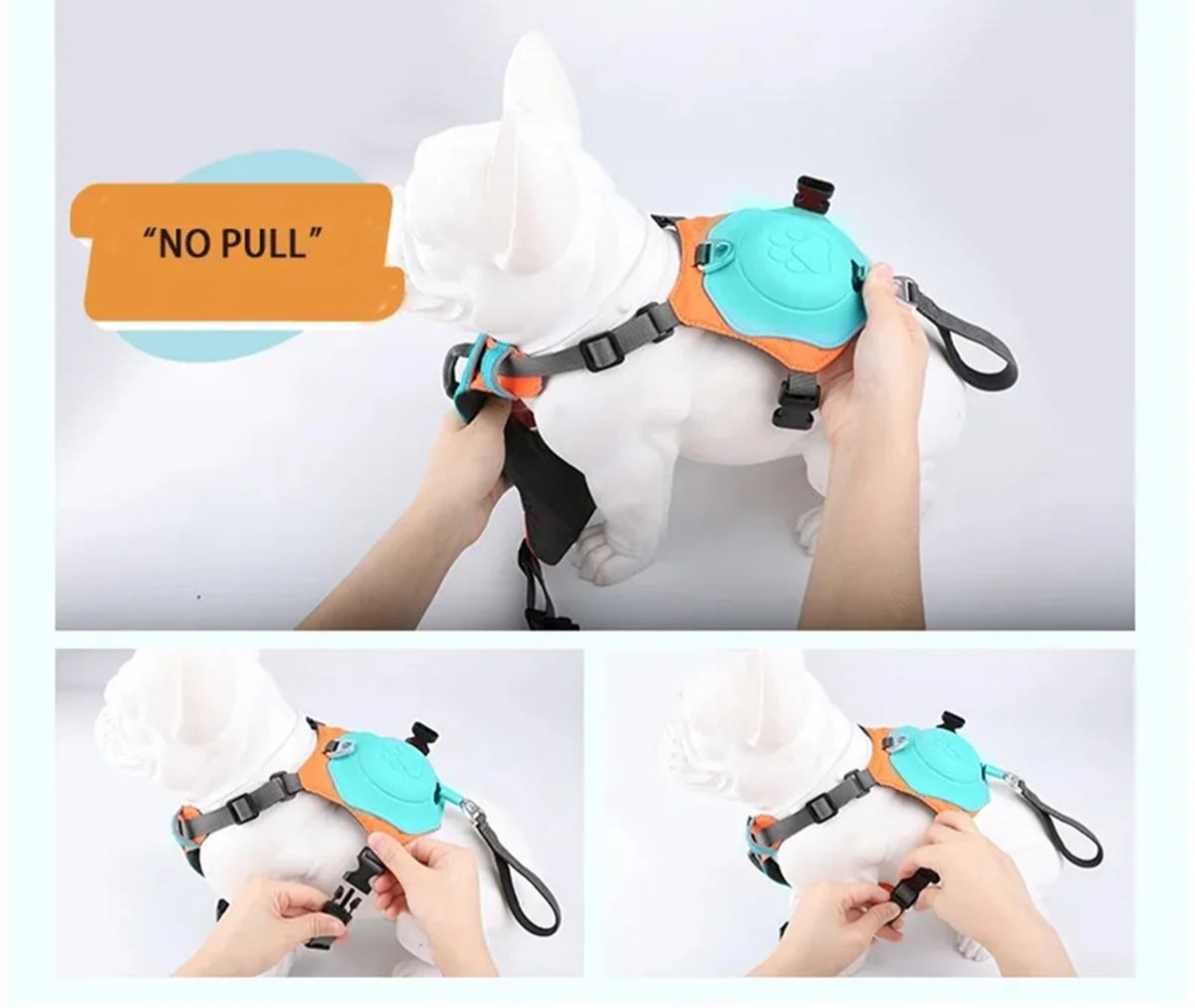 2-in-1 Dog Harness with Leash - Mixed Color