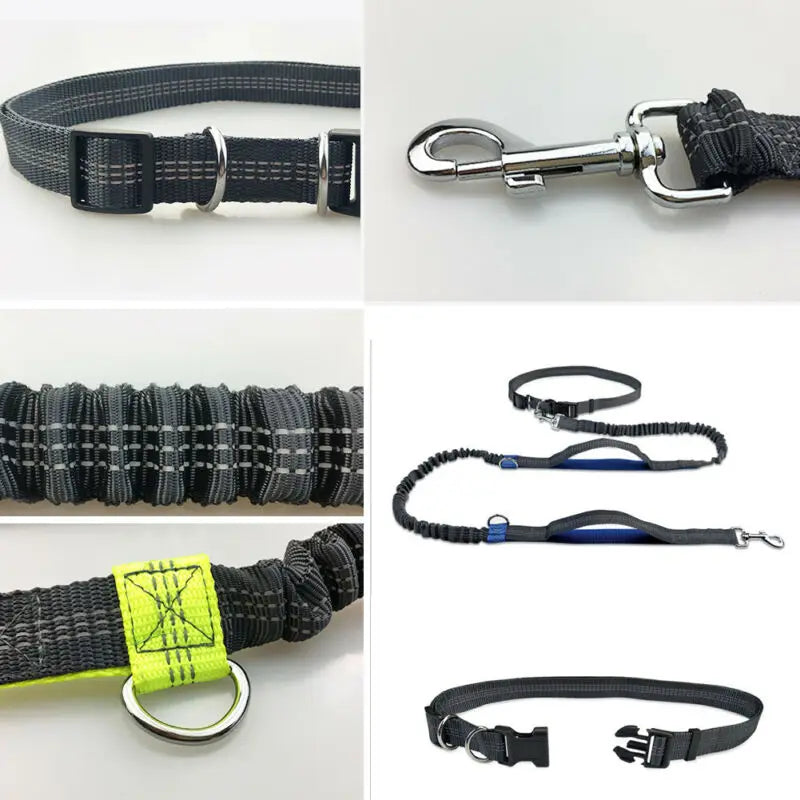 Running Dog Leash