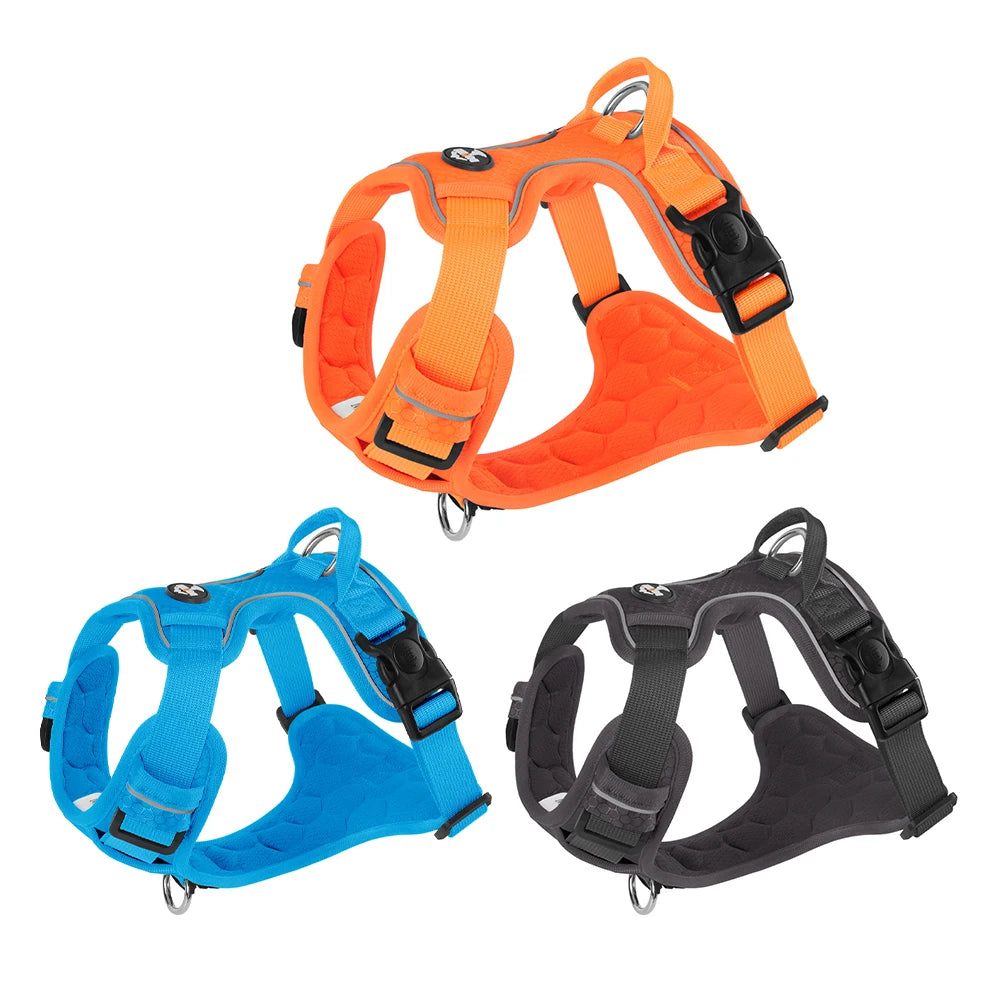 Running Harness - Orange