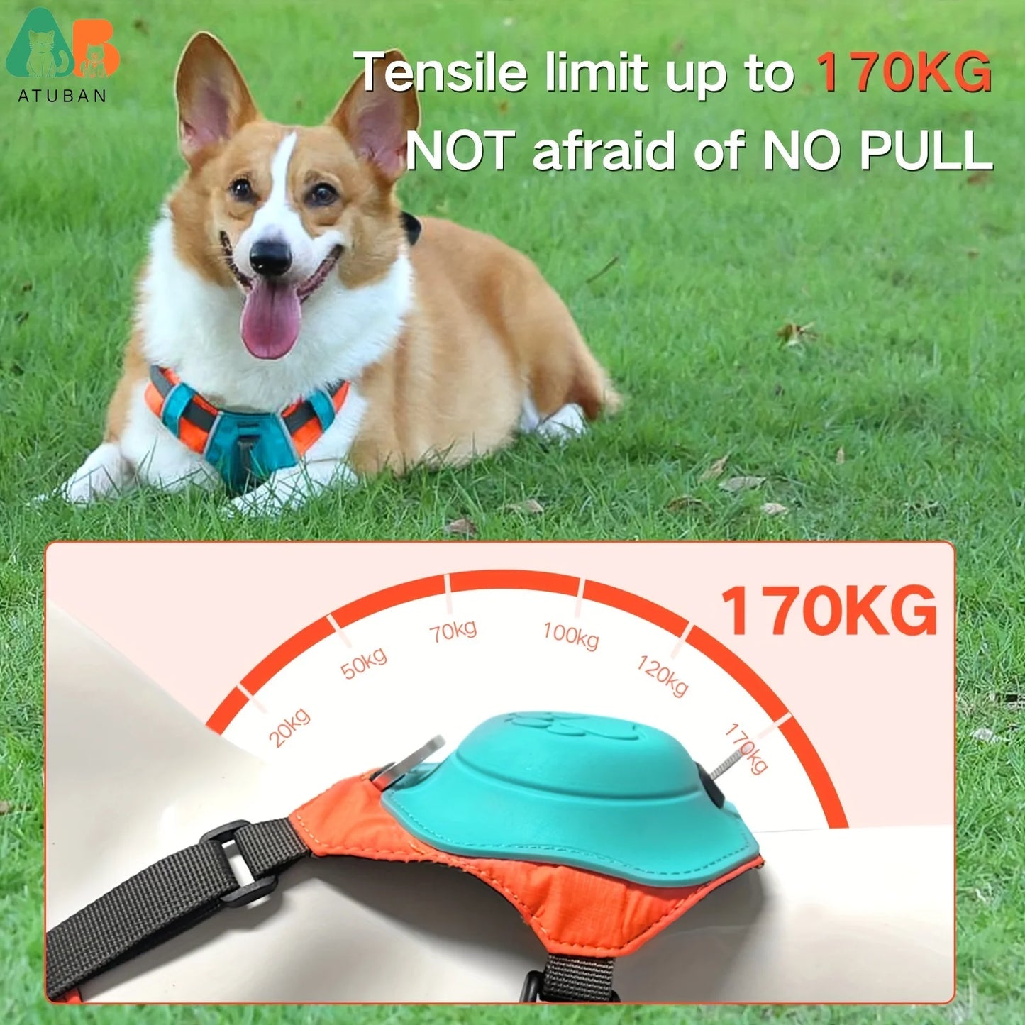 2-in-1 Dog Harness with Leash - Mixed Color