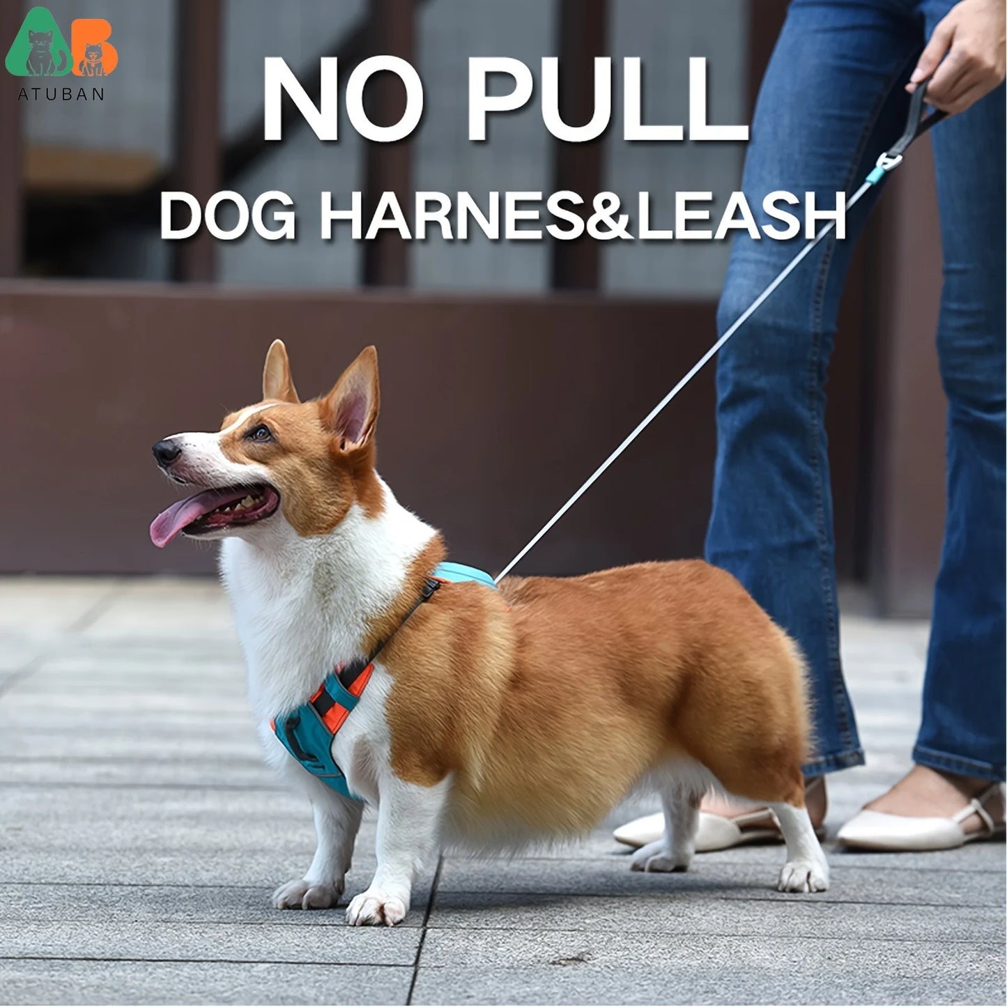 2-in-1 Dog Harness with Leash - Mixed Color