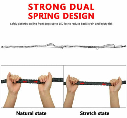 Running Dog Leash