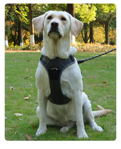 Running Harness - Dark Grey
