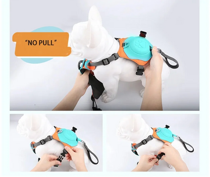 2-in-1 Dog Harness with Leash - Mixed Color